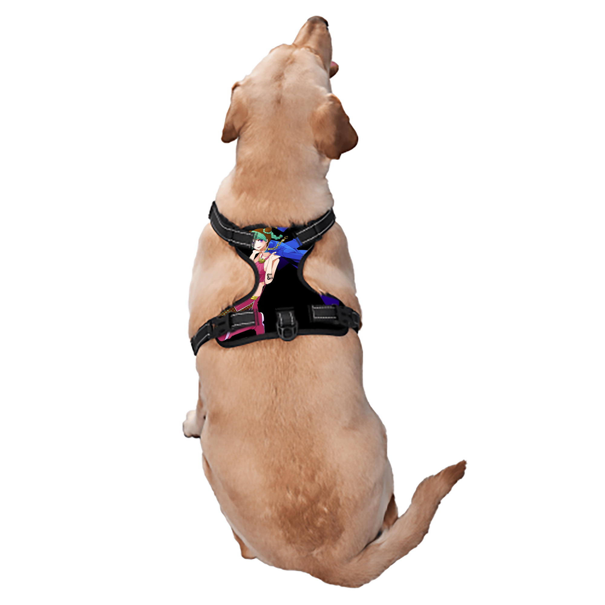 （画像用） "ジョジョの奇妙な冒険 くうじょう ジョリーン JoJo's Bizarre Adventure Jolyne Cujoh " ペット用ハーネス